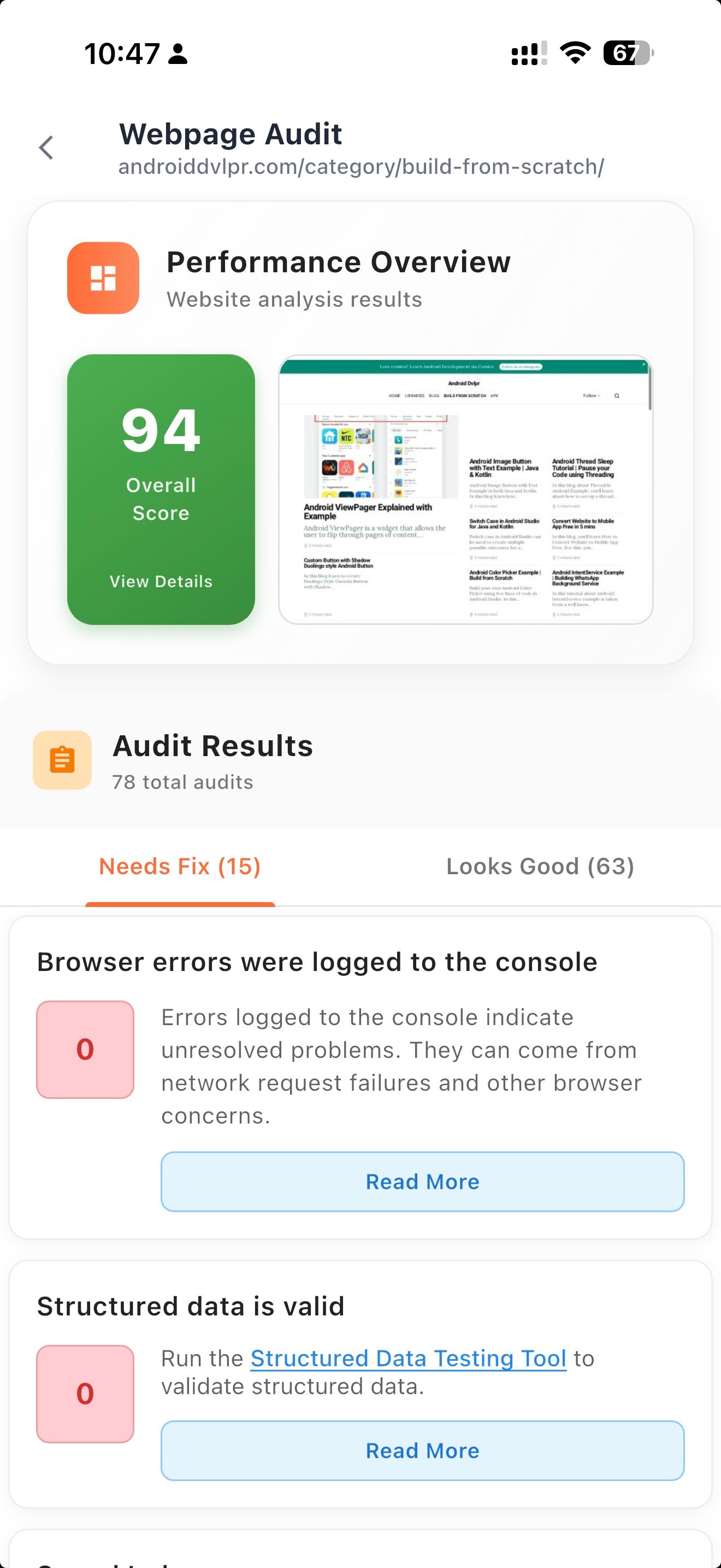Website Audit Screenshot